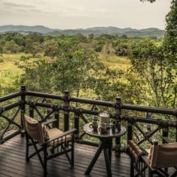 Watching Nature - Four Seasons Tented Camp, Chiang Rai, Thailand