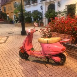 Pink Bike Marbella - Greece - Marbella - Bali