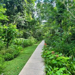 Butterfly Pathway - The Datai Langkawi, Malaysia