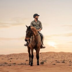 Al Wadi Desert Equestrian