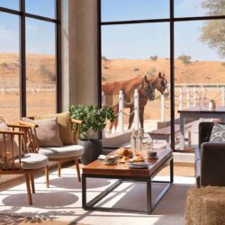 Al Wadi Desert Paddock Café Interior