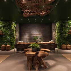 Al Wadi Desert The Rainforest Reception