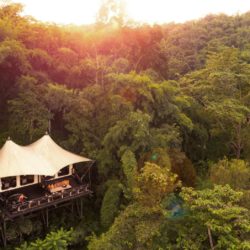 Tent Overview - Four Seasons Tented Camp, Chiang Rai, Thailand