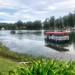 0697 - David Revisits Thailand 2022